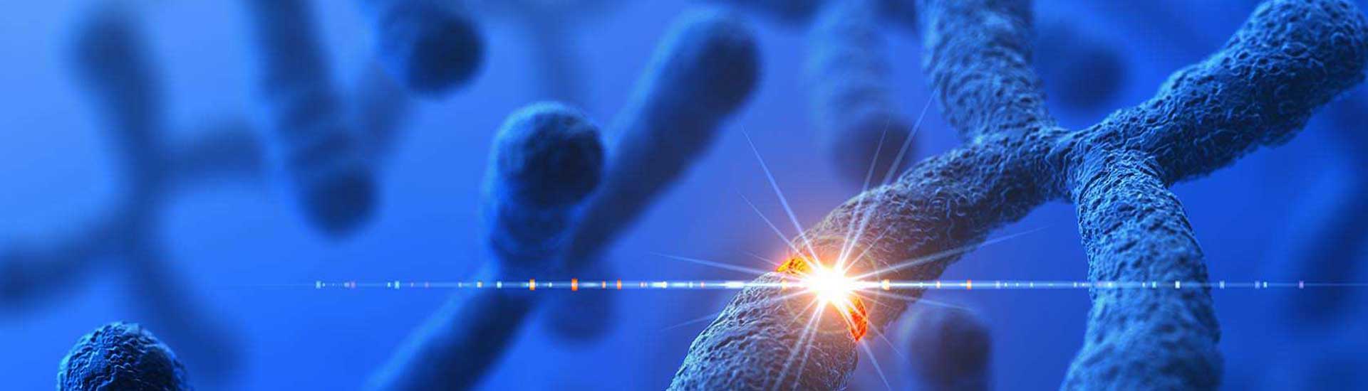 Photo: Human Gene- DNA