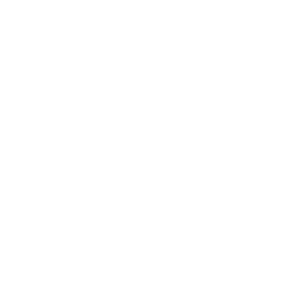 Icon: Lightbulb with checkmark